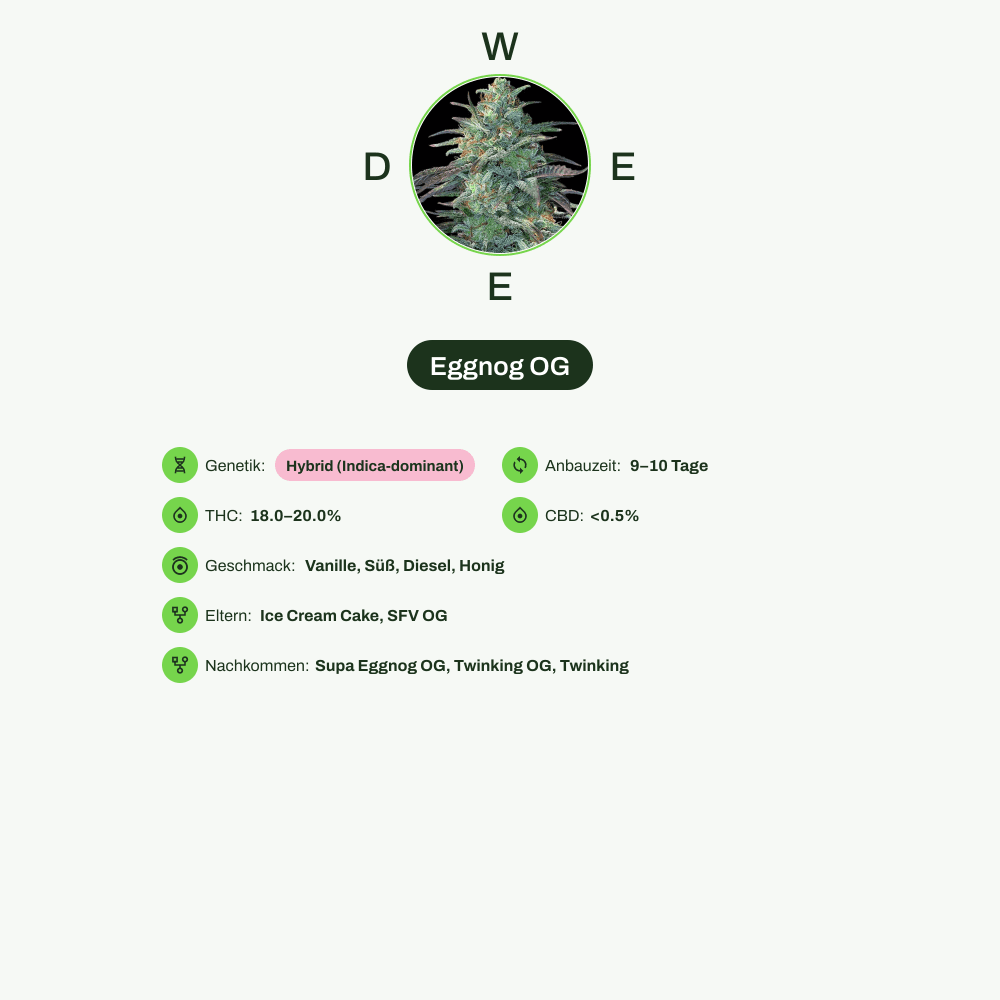 Infografik über THC-Gehalt, CBD-Gehalt, Wirkungen, Geschmack von Eggnog OG