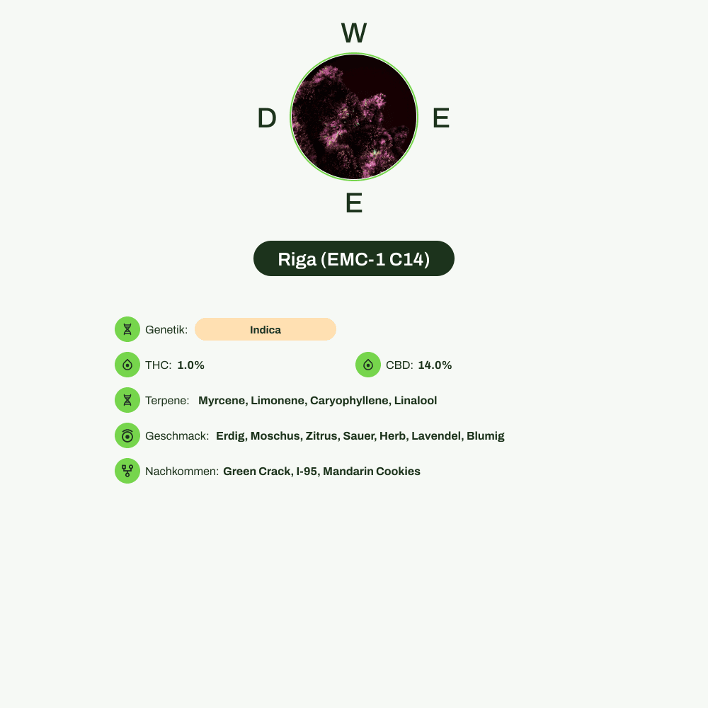 Infografik über THC-Gehalt, CBD-Gehalt, Terpene, Wirkungen, Geschmack von Riga (EMC-1 C14)