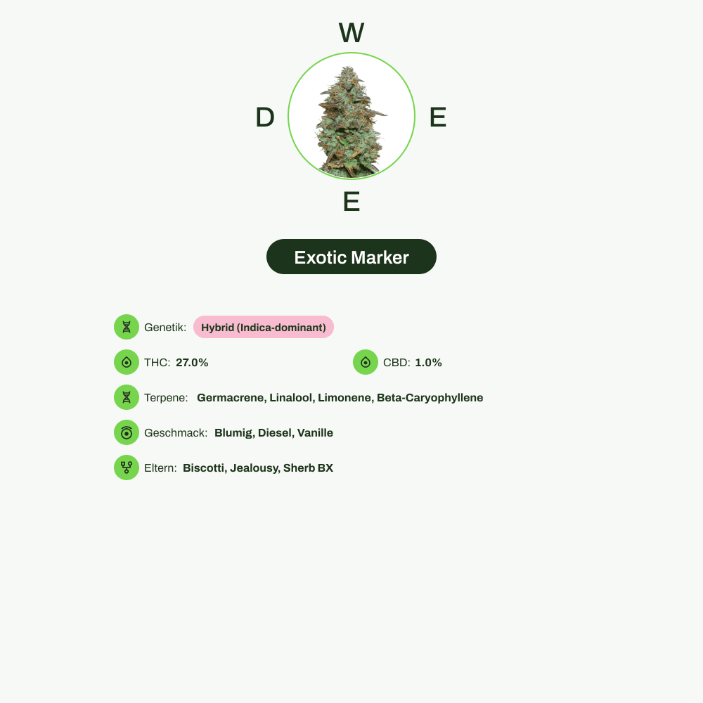 Infografik über THC-Gehalt, CBD-Gehalt, Terpene, Wirkungen, Geschmack von Exotic Marker