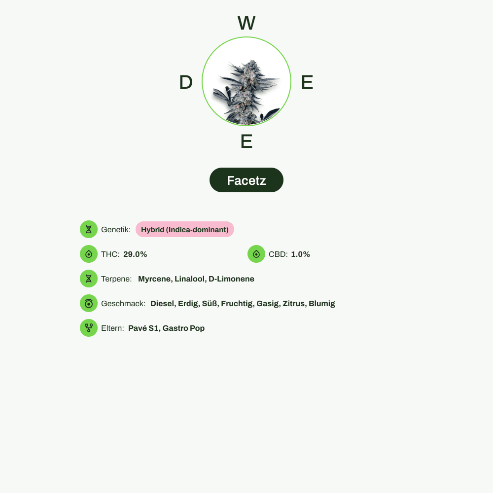 Infografik über THC-Gehalt, CBD-Gehalt, Terpene, Wirkungen, Geschmack von Facetz