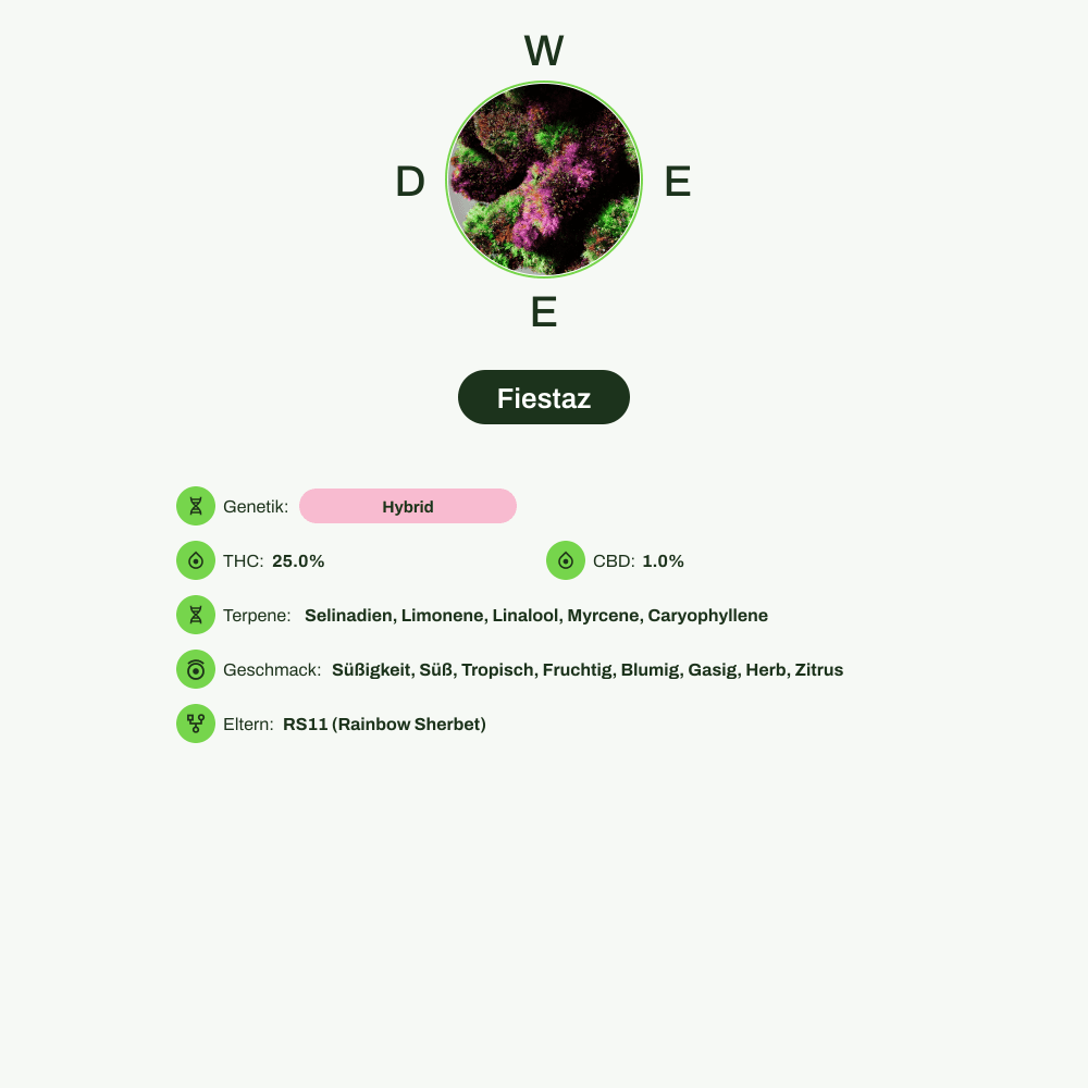 Infografik über THC-Gehalt, CBD-Gehalt, Terpene, Wirkungen, Geschmack von Fiestaz