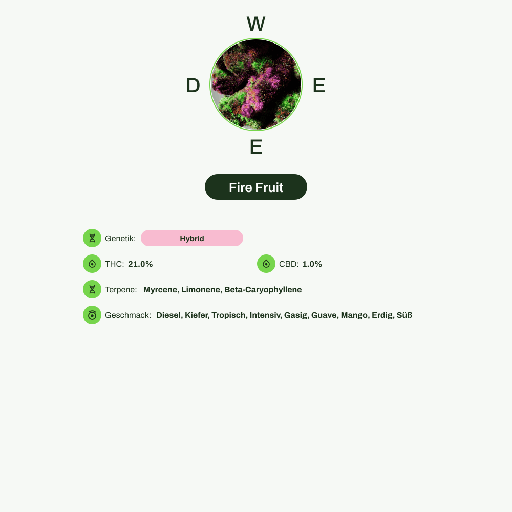 Infografik über THC-Gehalt, CBD-Gehalt, Terpene, Wirkungen, Geschmack von Fire Fruit