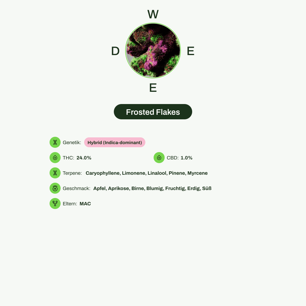 Infografik über THC-Gehalt, CBD-Gehalt, Terpene, Wirkungen, Geschmack von Frosted Flakes