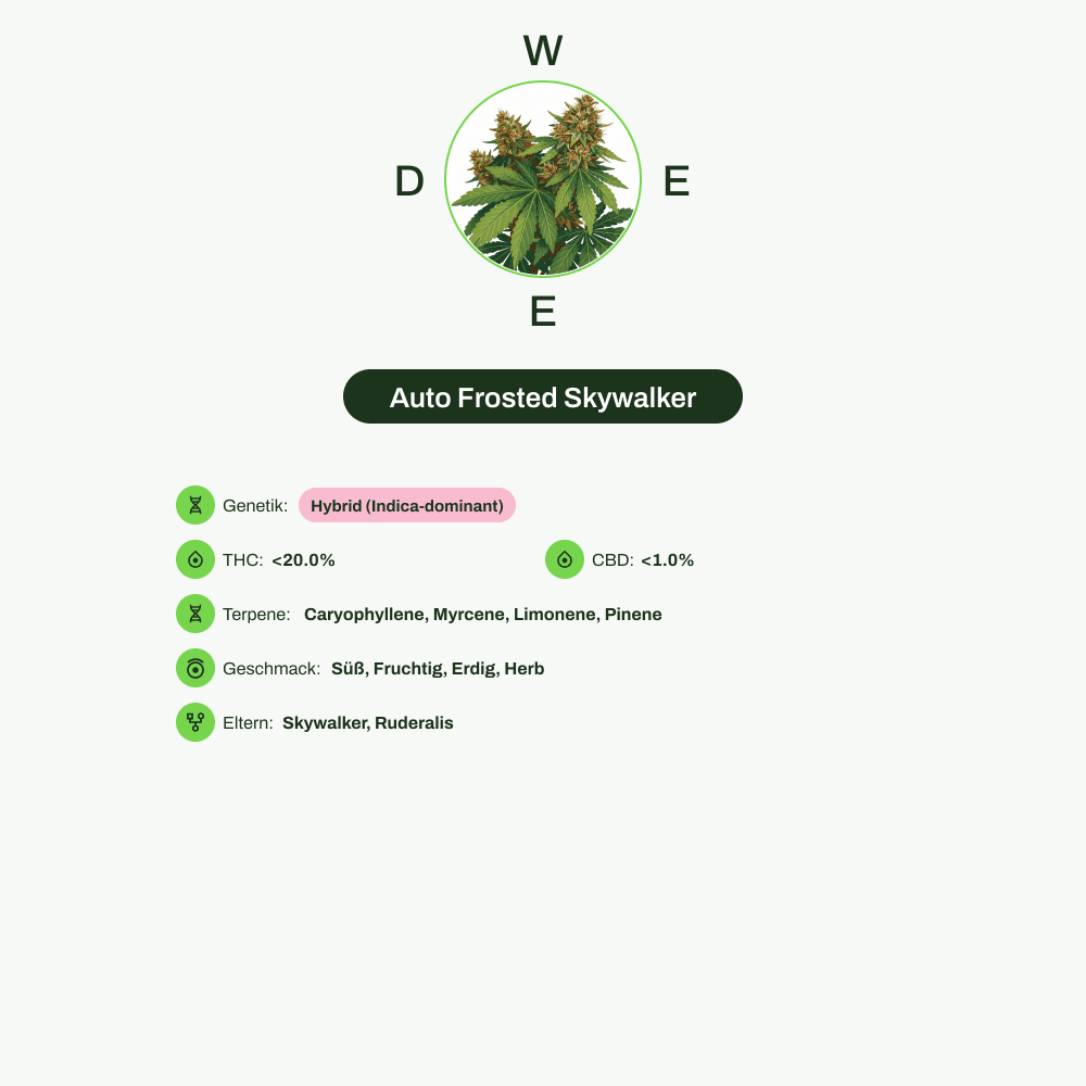 Infografik über THC-Gehalt, CBD-Gehalt, Terpene, Wirkungen, Geschmack von Auto Frosted Skywalker