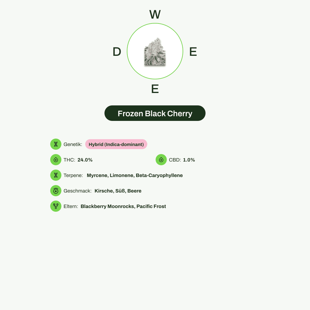 Infografik über THC-Gehalt, CBD-Gehalt, Terpene, Wirkungen, Geschmack von Frozen Black Cherry