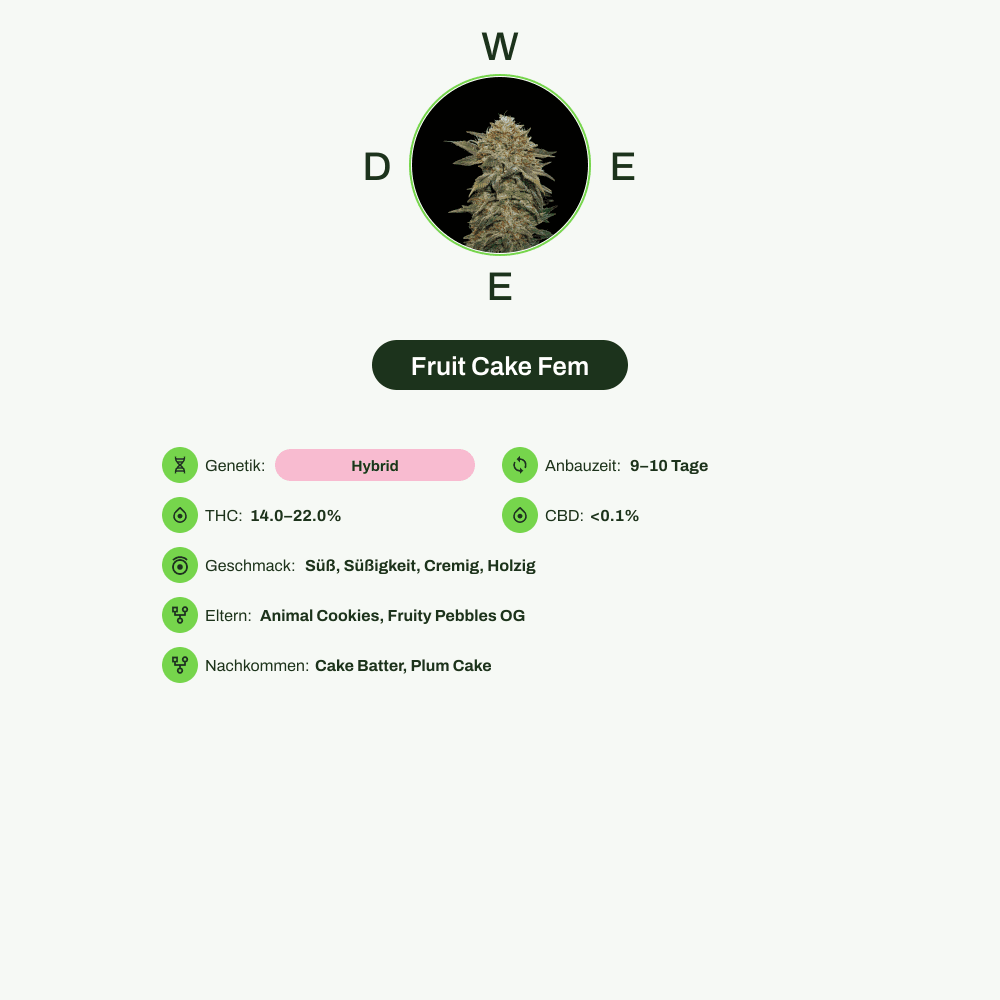 Infografik über THC-Gehalt, CBD-Gehalt, Wirkungen, Geschmack von Fruit Cake Fem
