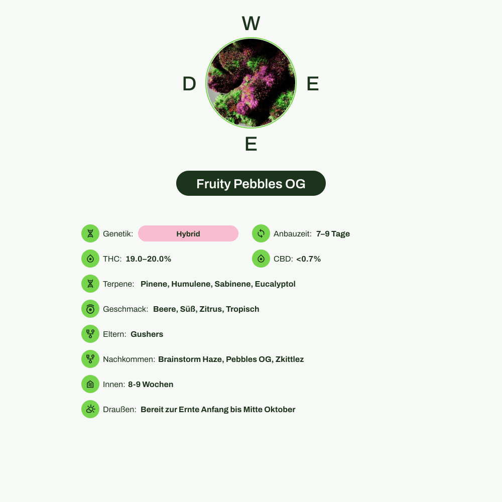 Infografik über THC-Gehalt, CBD-Gehalt, Terpene, Wirkungen, Geschmack von Fruity Pebbles OG