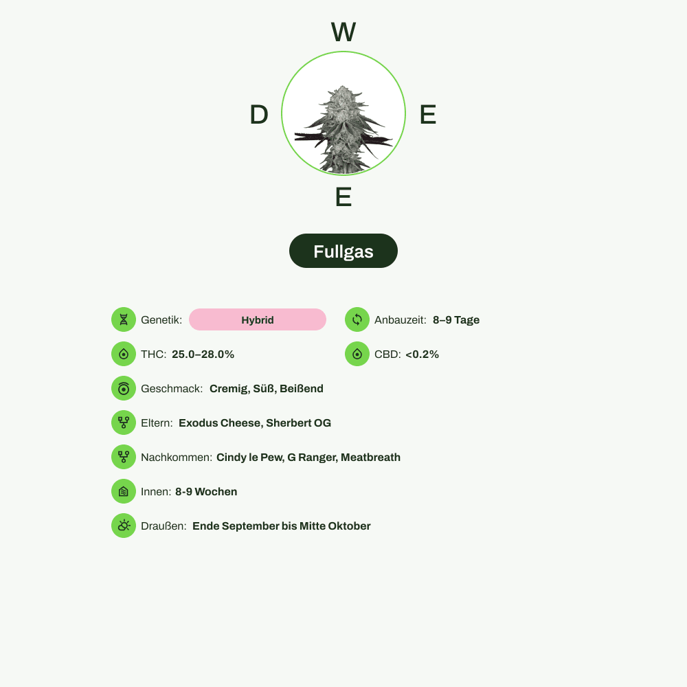 Infografik über THC-Gehalt, CBD-Gehalt, Wirkungen, Geschmack von Fullgas