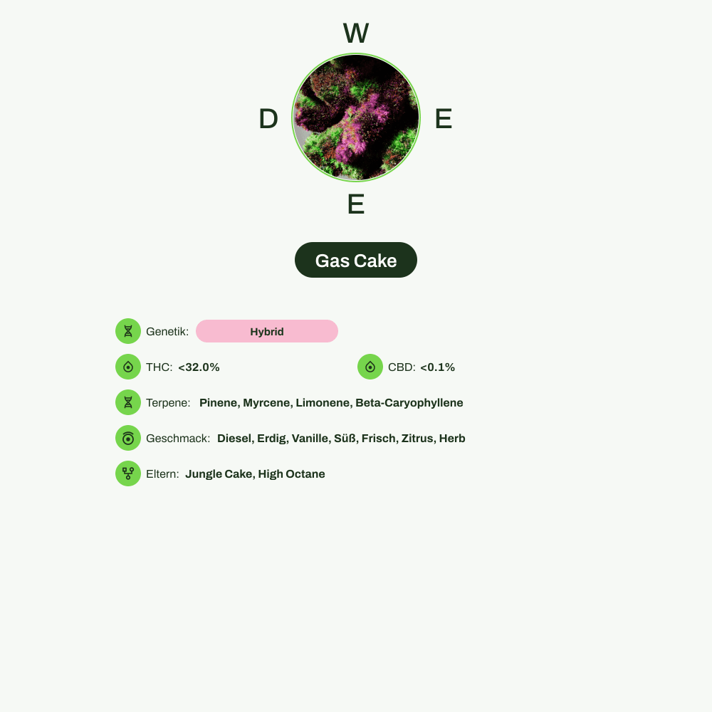 Infografik über THC-Gehalt, CBD-Gehalt, Terpene, Wirkungen, Geschmack von Gas Cake