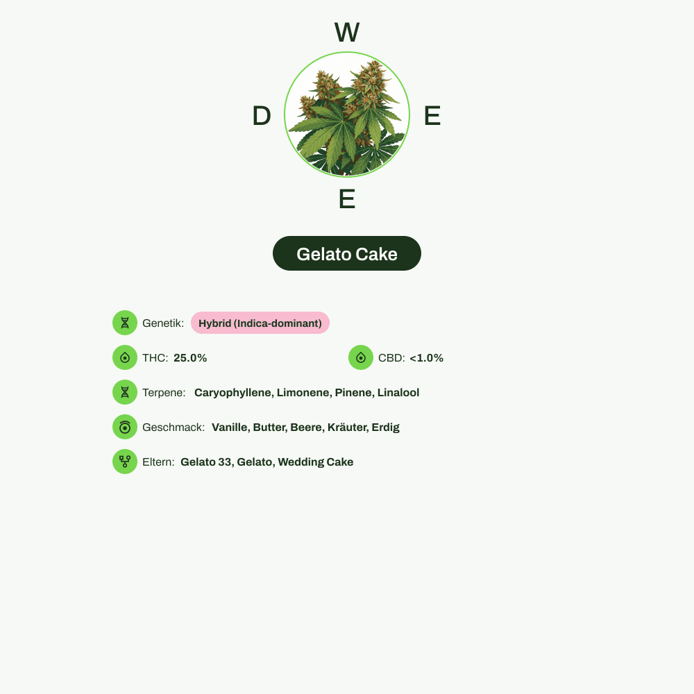 Infografik über THC-Gehalt, CBD-Gehalt, Terpene, Wirkungen, Geschmack von Gelato Cake