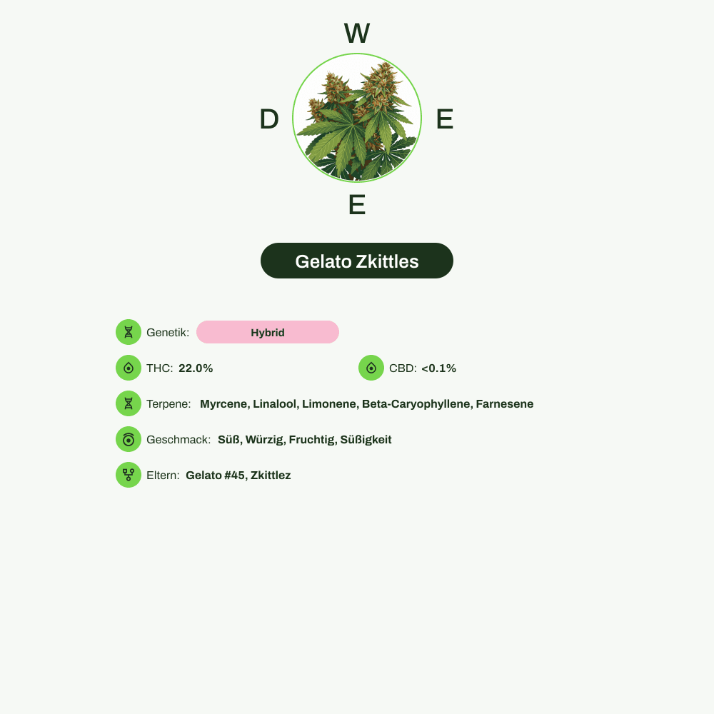 Infografik über THC-Gehalt, CBD-Gehalt, Terpene, Wirkungen, Geschmack von Gelato Zkittles