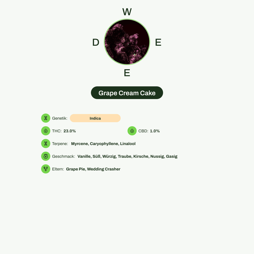 Infografik über THC-Gehalt, CBD-Gehalt, Terpene, Wirkungen, Geschmack von Grape Cream Cake