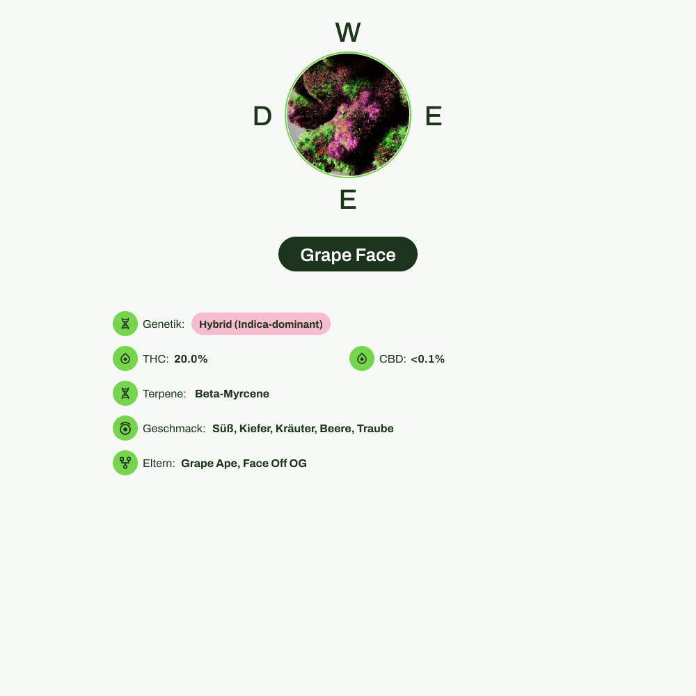 Infografik über THC-Gehalt, CBD-Gehalt, Terpene, Wirkungen, Geschmack von Grape Face