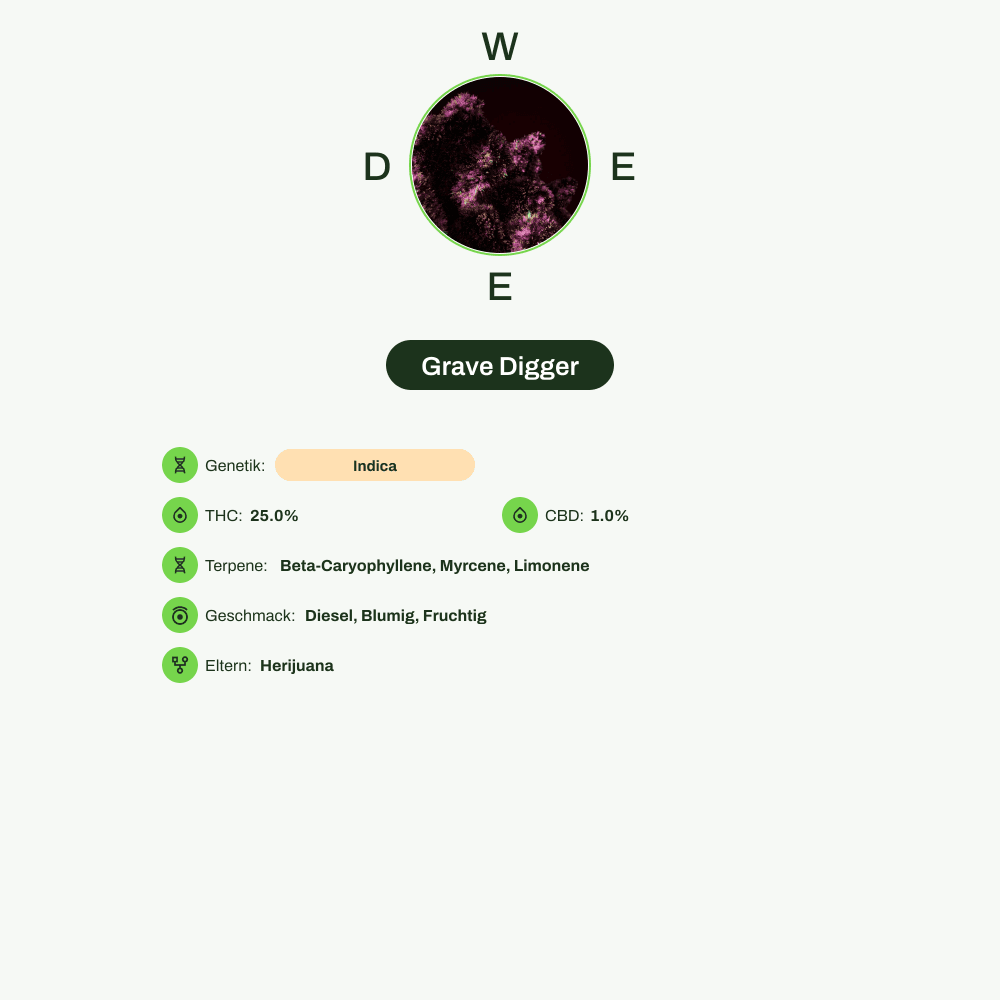 Infografik über THC-Gehalt, CBD-Gehalt, Terpene, Wirkungen, Geschmack von Grave Digger