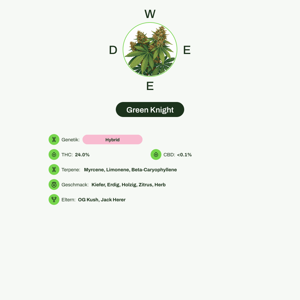 Infografik über THC-Gehalt, CBD-Gehalt, Terpene, Wirkungen, Geschmack von Green Knight