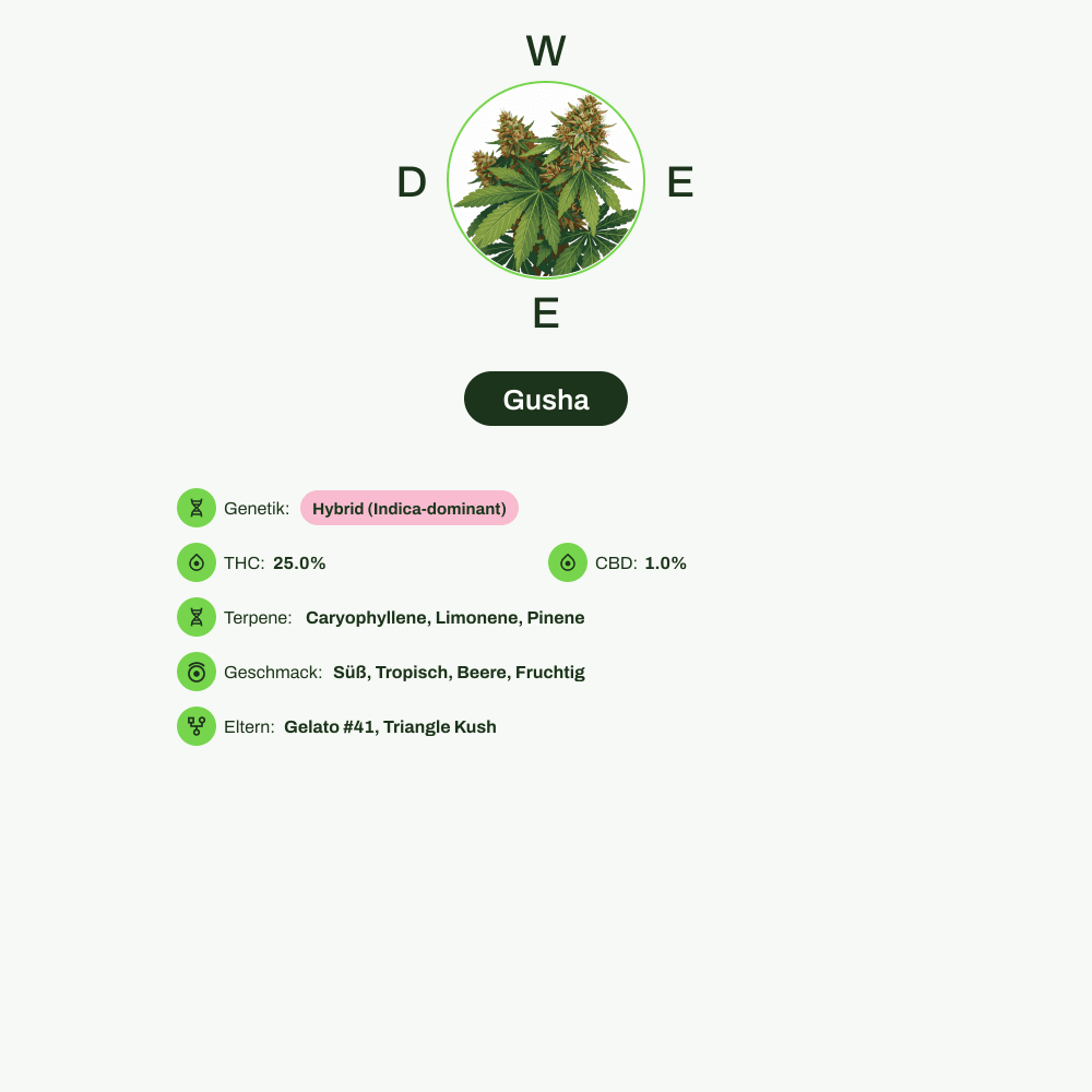Infografik über THC-Gehalt, CBD-Gehalt, Terpene, Wirkungen, Geschmack von Gusha