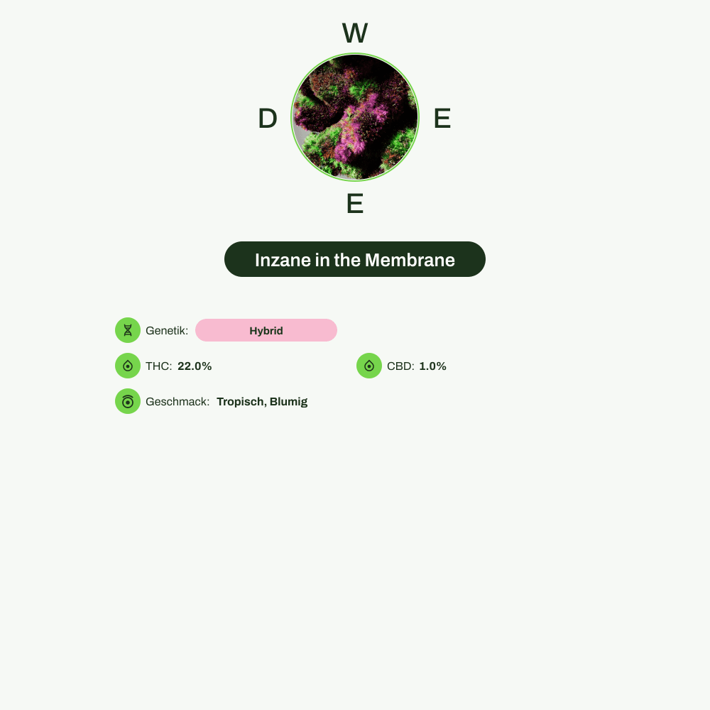 Infografik über THC-Gehalt, CBD-Gehalt, Wirkungen, Geschmack von Inzane in the Membrane