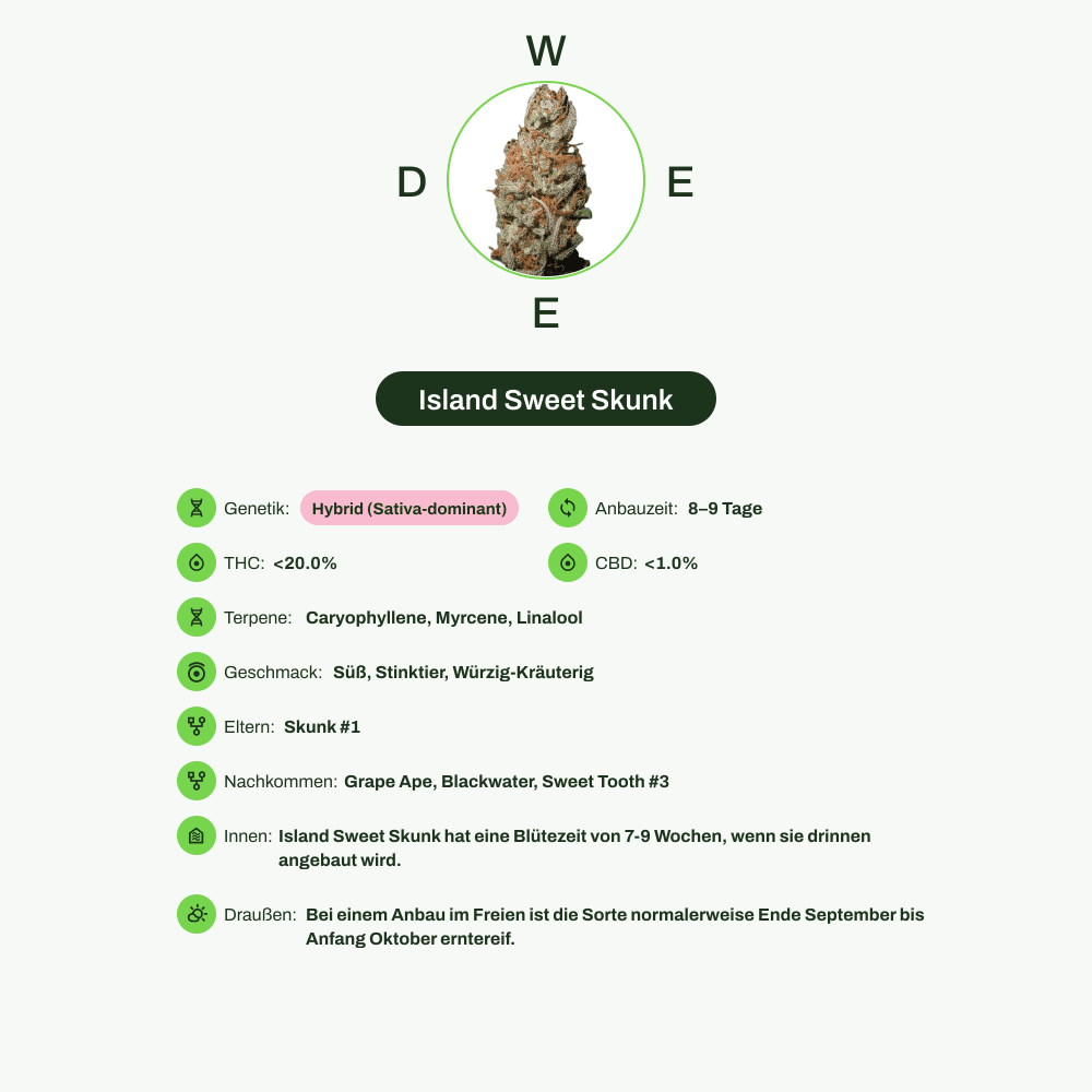 Infografik über THC-Gehalt, CBD-Gehalt, Terpene, Wirkungen, Geschmack von Island Sweet Skunk
