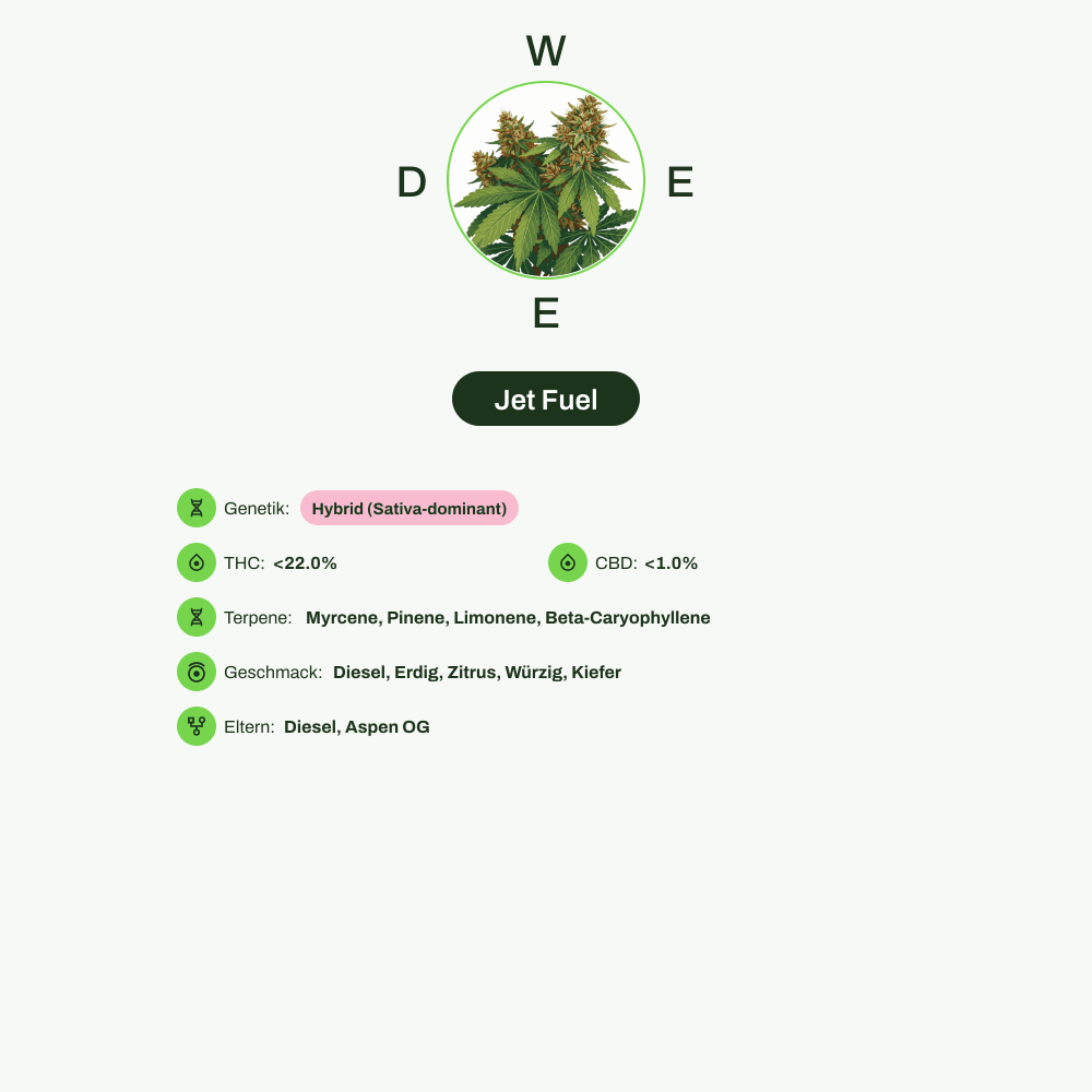 Infografik über THC-Gehalt, CBD-Gehalt, Terpene, Wirkungen, Geschmack von Jet Fuel