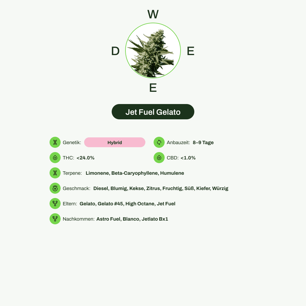 Infografik über THC-Gehalt, CBD-Gehalt, Terpene, Wirkungen, Geschmack von Jet Fuel Gelato