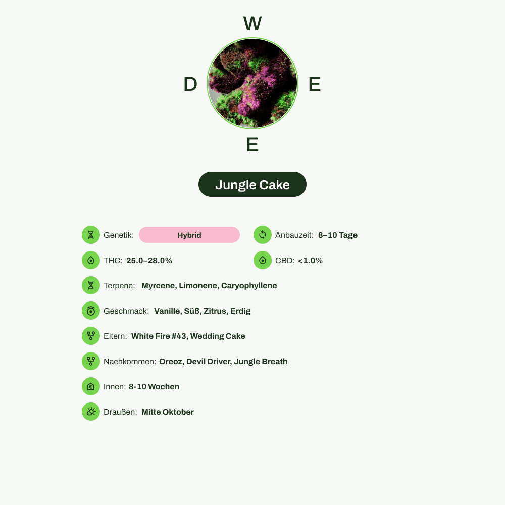 Infografik über THC-Gehalt, CBD-Gehalt, Terpene, Wirkungen, Geschmack von Jungle Cake