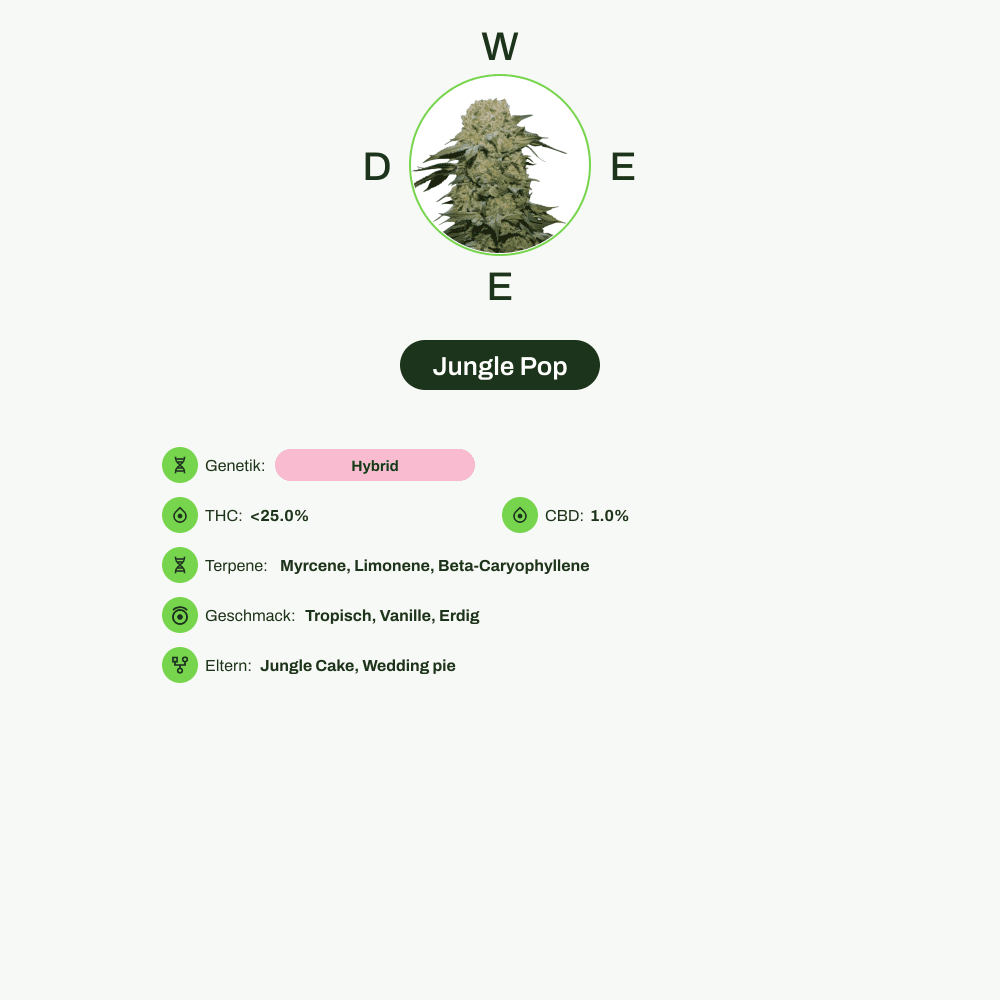 Infografik über THC-Gehalt, CBD-Gehalt, Terpene, Wirkungen, Geschmack von Jungle Pop