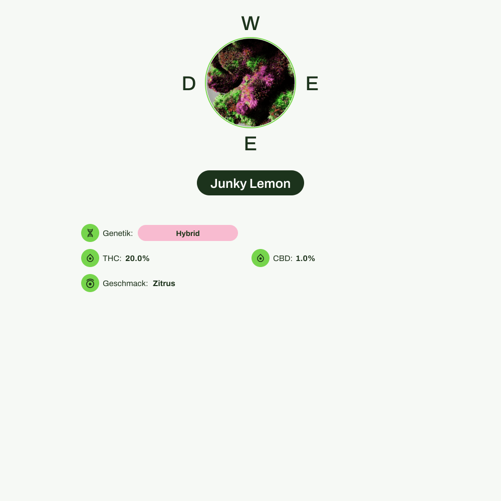 Infografik über THC-Gehalt, CBD-Gehalt, Wirkungen, Geschmack von Junky Lemon