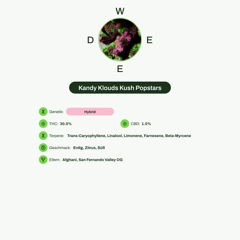 Infografik über THC-Gehalt, CBD-Gehalt, Terpene, Wirkungen, Geschmack von Kandy Klouds Kush Popstars