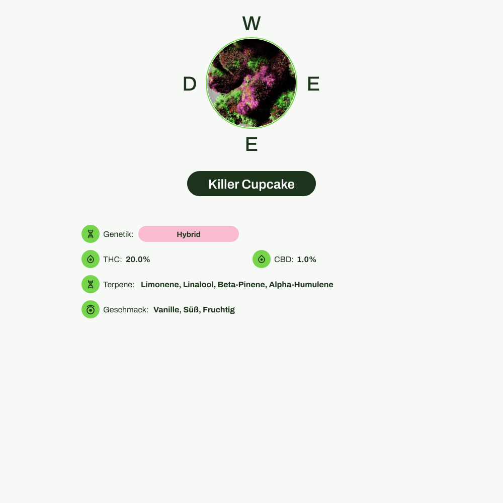 Infografik über THC-Gehalt, CBD-Gehalt, Terpene, Wirkungen, Geschmack von Killer Cupcake