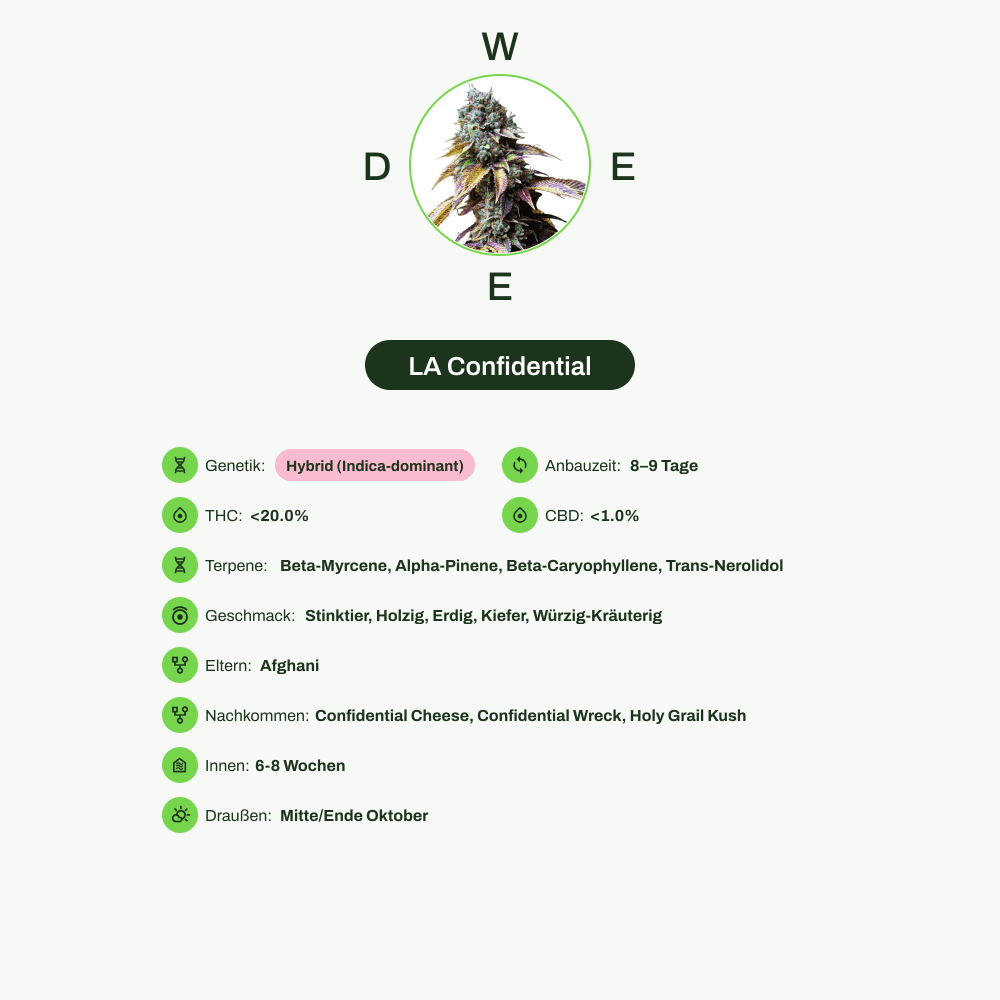 Infografik über THC-Gehalt, CBD-Gehalt, Terpene, Wirkungen, Geschmack von LA Confidential