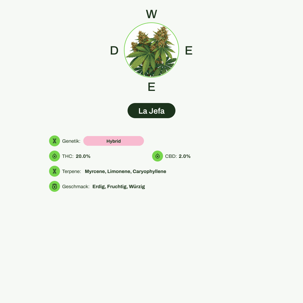 Infografik über THC-Gehalt, CBD-Gehalt, Terpene, Geschmack von La Jefa