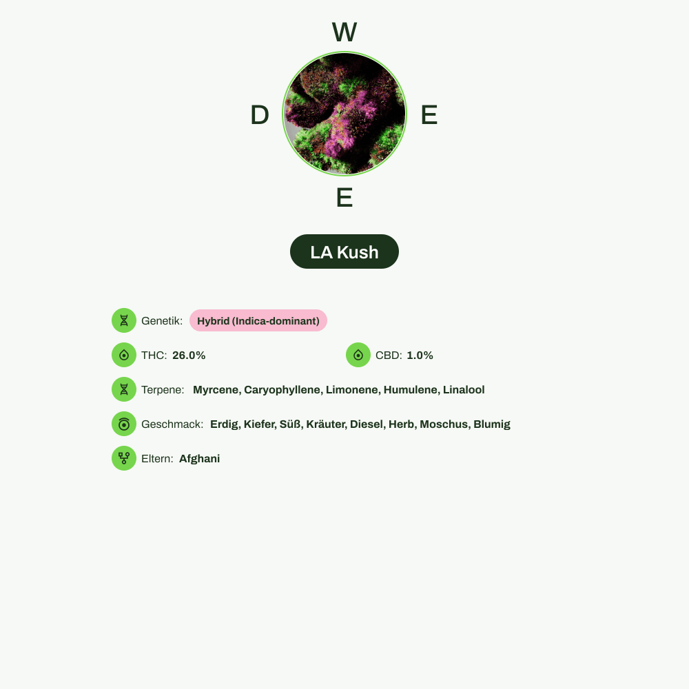 Infografik über THC-Gehalt, CBD-Gehalt, Terpene, Wirkungen, Geschmack von LA Kush