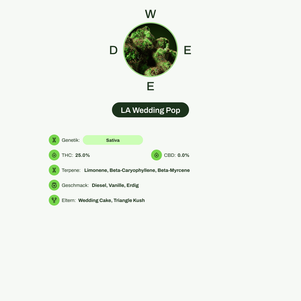 Infografik über THC-Gehalt, CBD-Gehalt, Terpene, Wirkungen, Geschmack von LA Wedding Pop