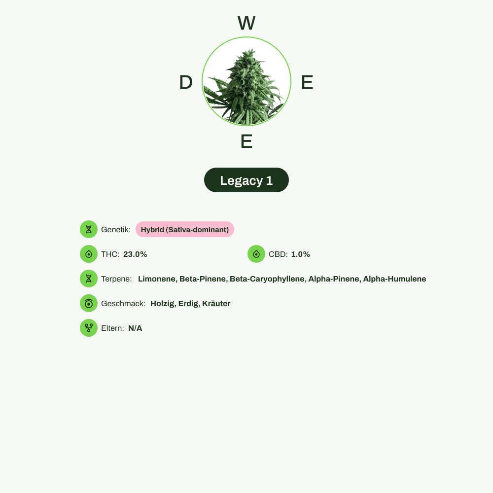 Infografik über THC-Gehalt, CBD-Gehalt, Terpene, Wirkungen, Geschmack von Legacy 1