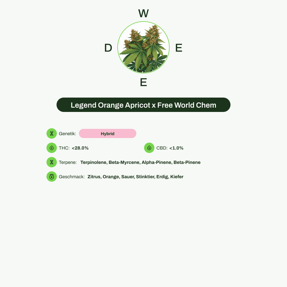 Infografik über THC-Gehalt, CBD-Gehalt, Terpene, Wirkungen, Geschmack von Legend Orange Apricot x Free World Chem