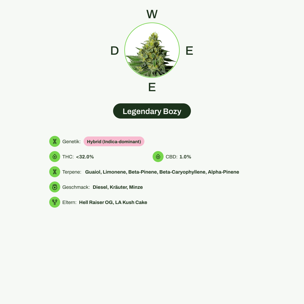 Infografik über THC-Gehalt, CBD-Gehalt, Terpene, Wirkungen, Geschmack von Legendary Bozy