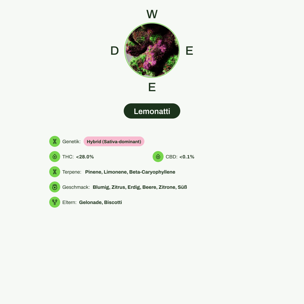 Infografik über THC-Gehalt, CBD-Gehalt, Terpene, Wirkungen, Geschmack von Lemonatti