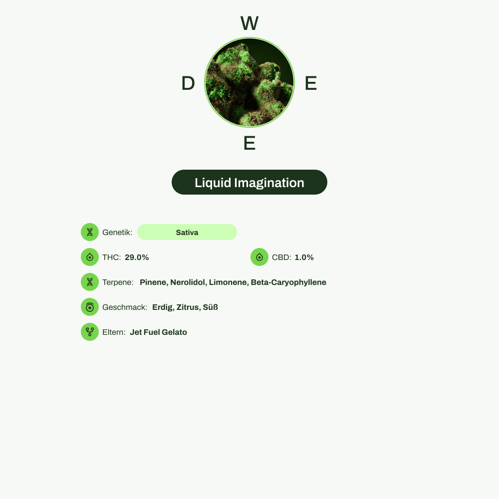 Infografik über THC-Gehalt, CBD-Gehalt, Terpene, Wirkungen, Geschmack von Liquid Imagination