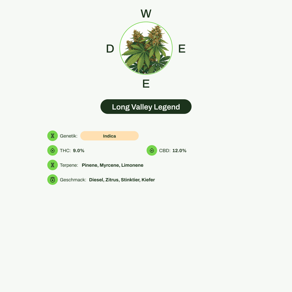Infografik über THC-Gehalt, CBD-Gehalt, Terpene, Wirkungen, Geschmack von Long Valley Legend