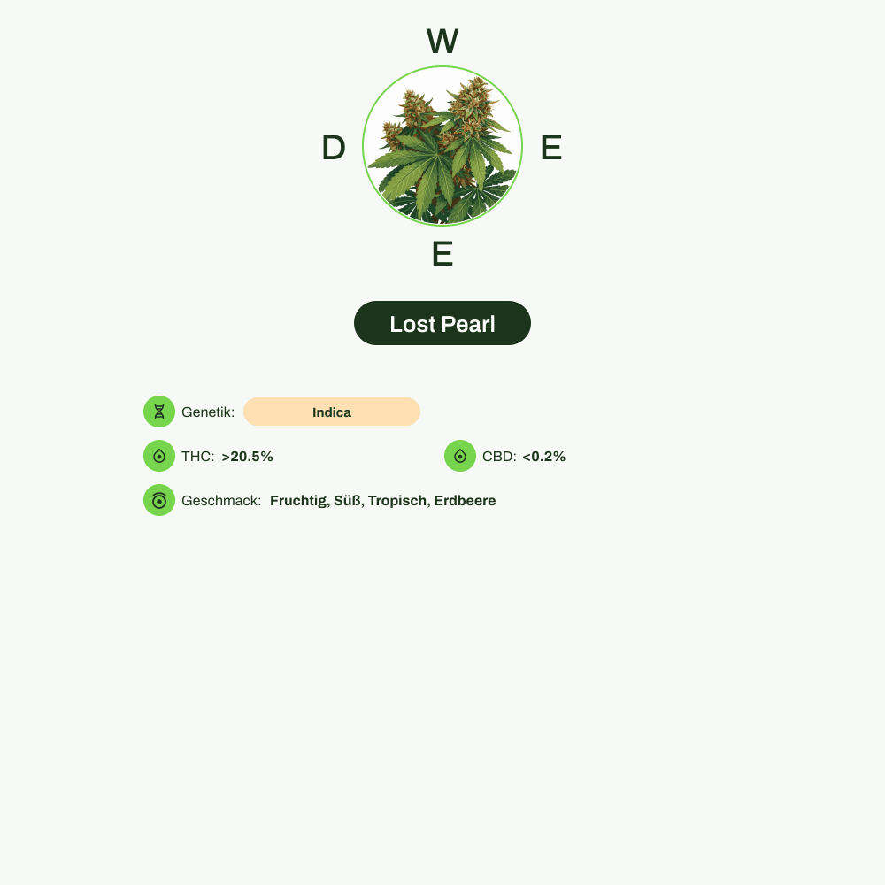 Infografik über THC-Gehalt, CBD-Gehalt, Wirkungen, Geschmack von Lost Pearl