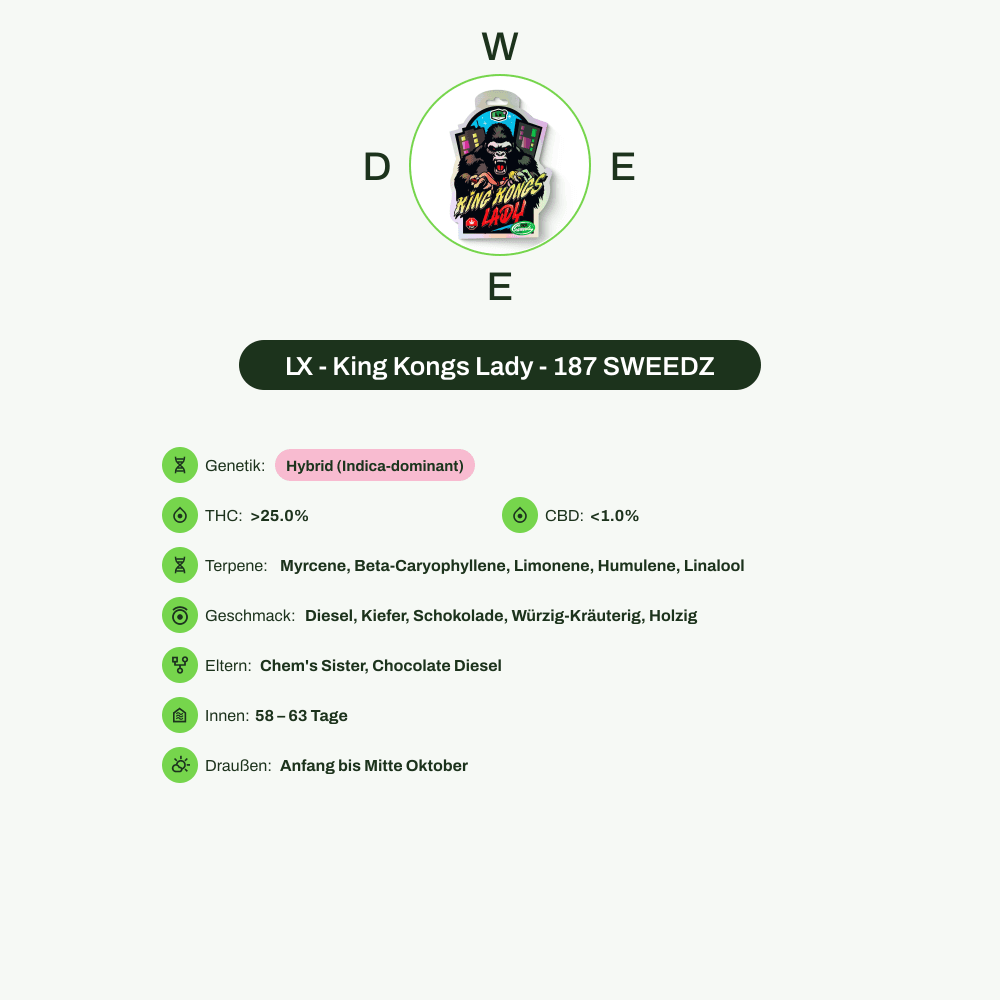 Infografik über THC-Gehalt, CBD-Gehalt, Terpene, Wirkungen, Geschmack von LX - King Kongs Lady - 187 SWEEDZ