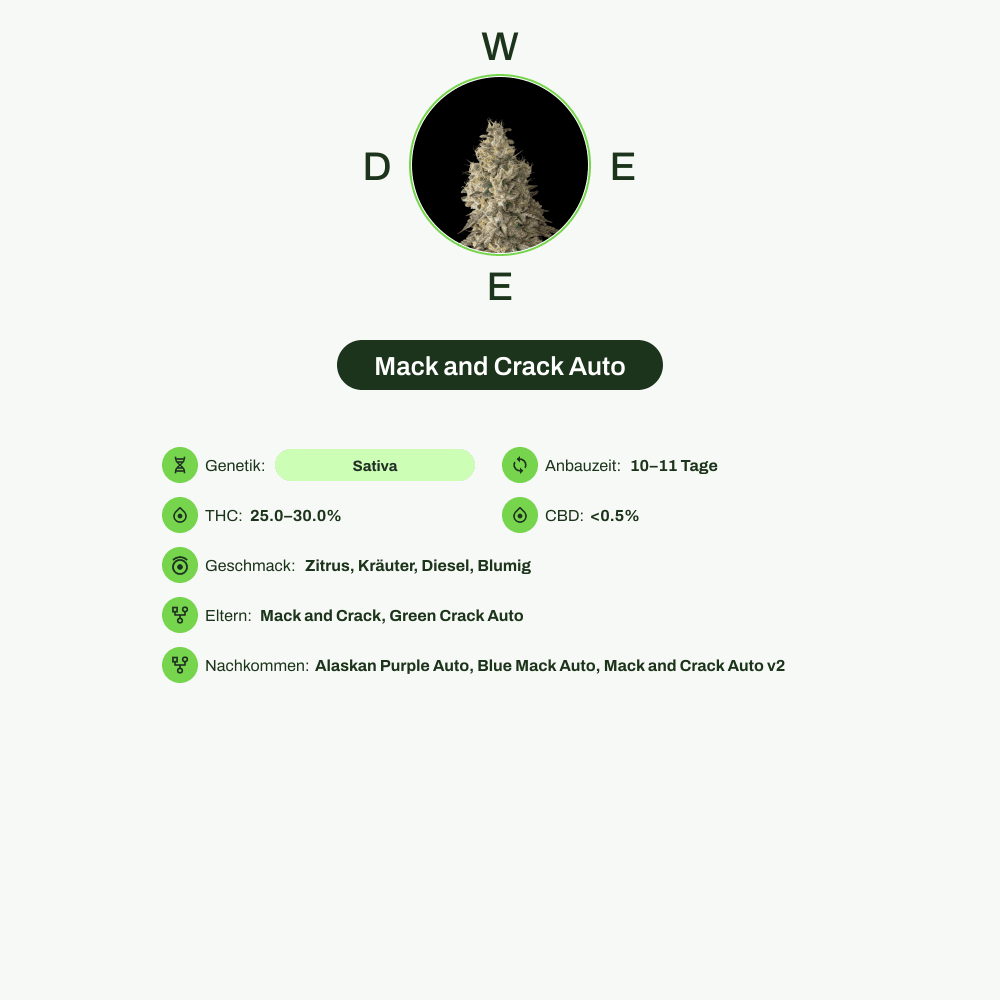 Infografik über THC-Gehalt, CBD-Gehalt, Wirkungen, Geschmack von Mack and Crack Auto