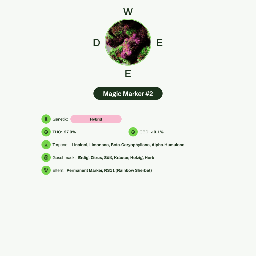 Infografik über THC-Gehalt, CBD-Gehalt, Terpene, Wirkungen, Geschmack von Magic Marker #2