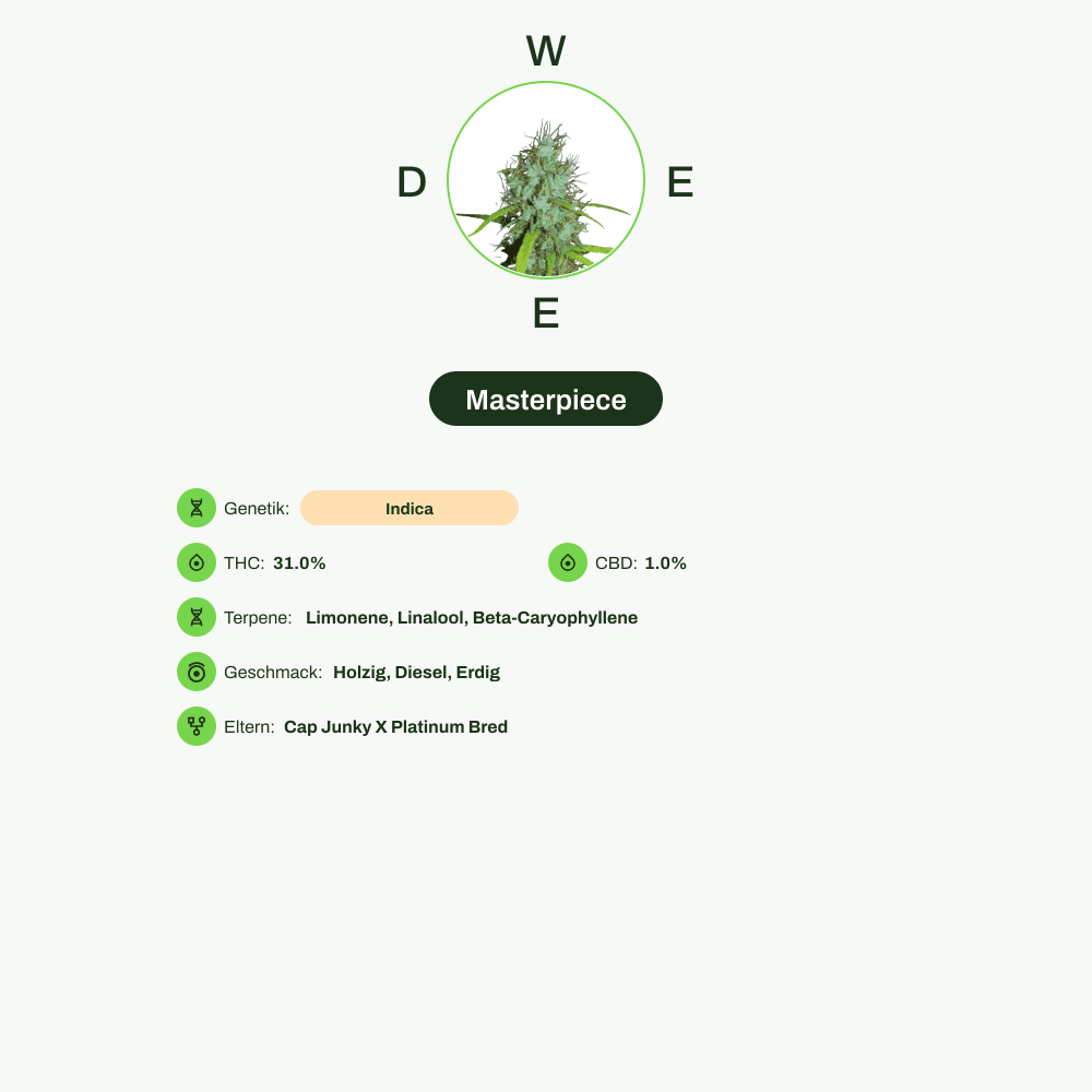 Infografik über THC-Gehalt, CBD-Gehalt, Terpene, Wirkungen, Geschmack von Masterpiece