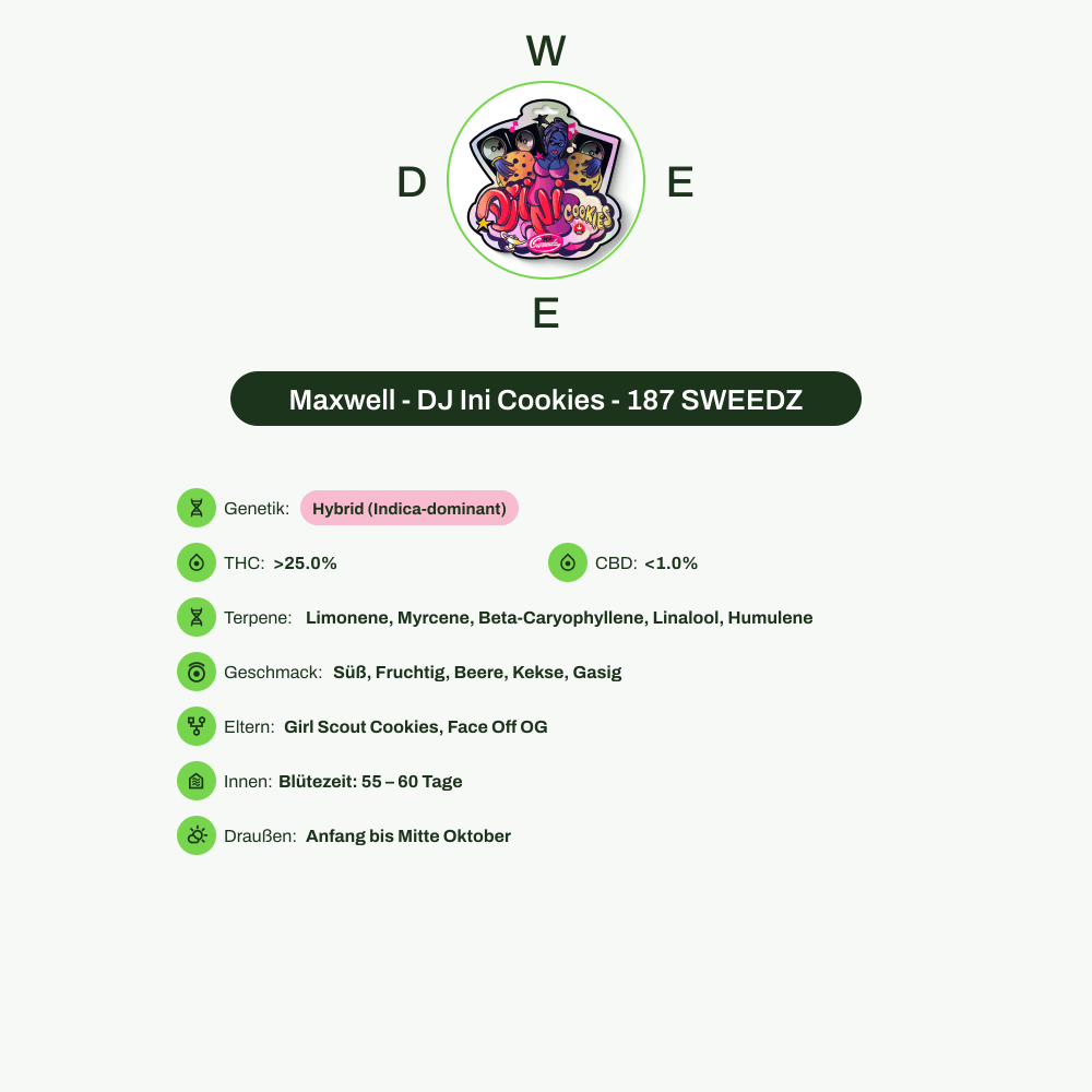 Infografik über THC-Gehalt, CBD-Gehalt, Terpene, Wirkungen, Geschmack von Maxwell - DJ Ini Cookies - 187 SWEEDZ