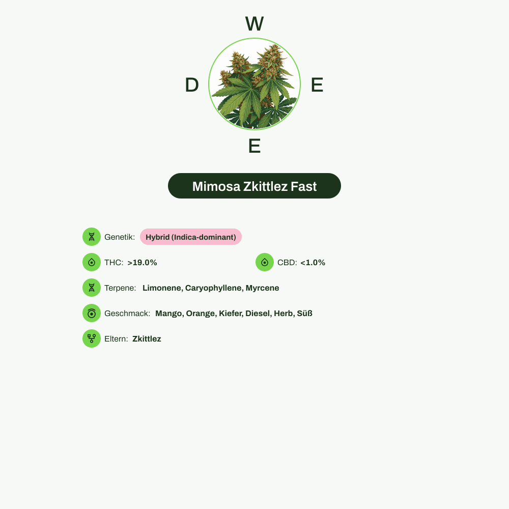 Infografik über THC-Gehalt, CBD-Gehalt, Terpene, Wirkungen, Geschmack von Mimosa Zkittlez Fast