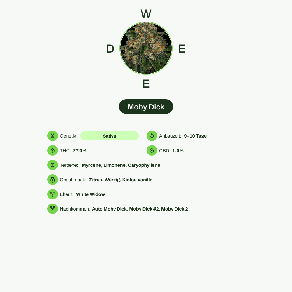 Infografik über THC-Gehalt, CBD-Gehalt, Terpene, Wirkungen, Geschmack von Moby Dick
