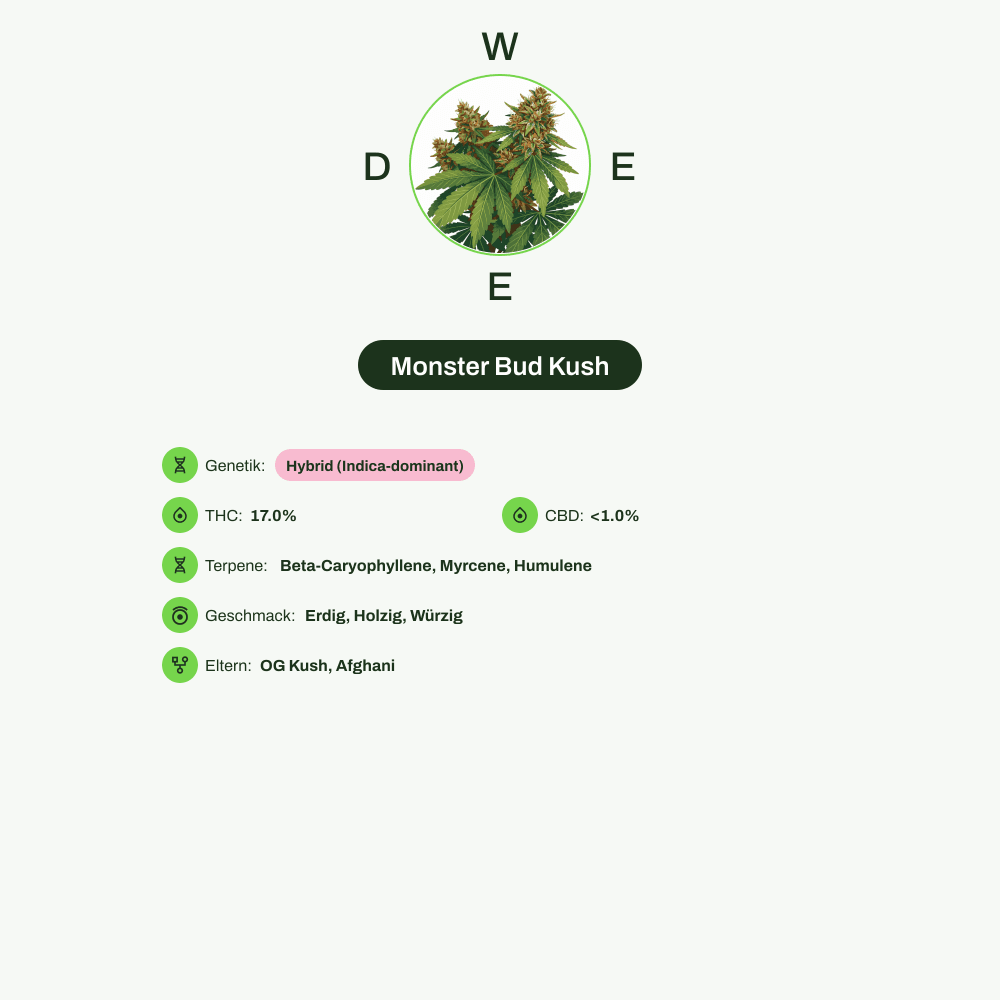 Infografik über THC-Gehalt, CBD-Gehalt, Terpene, Wirkungen, Geschmack von Monster Bud Kush
