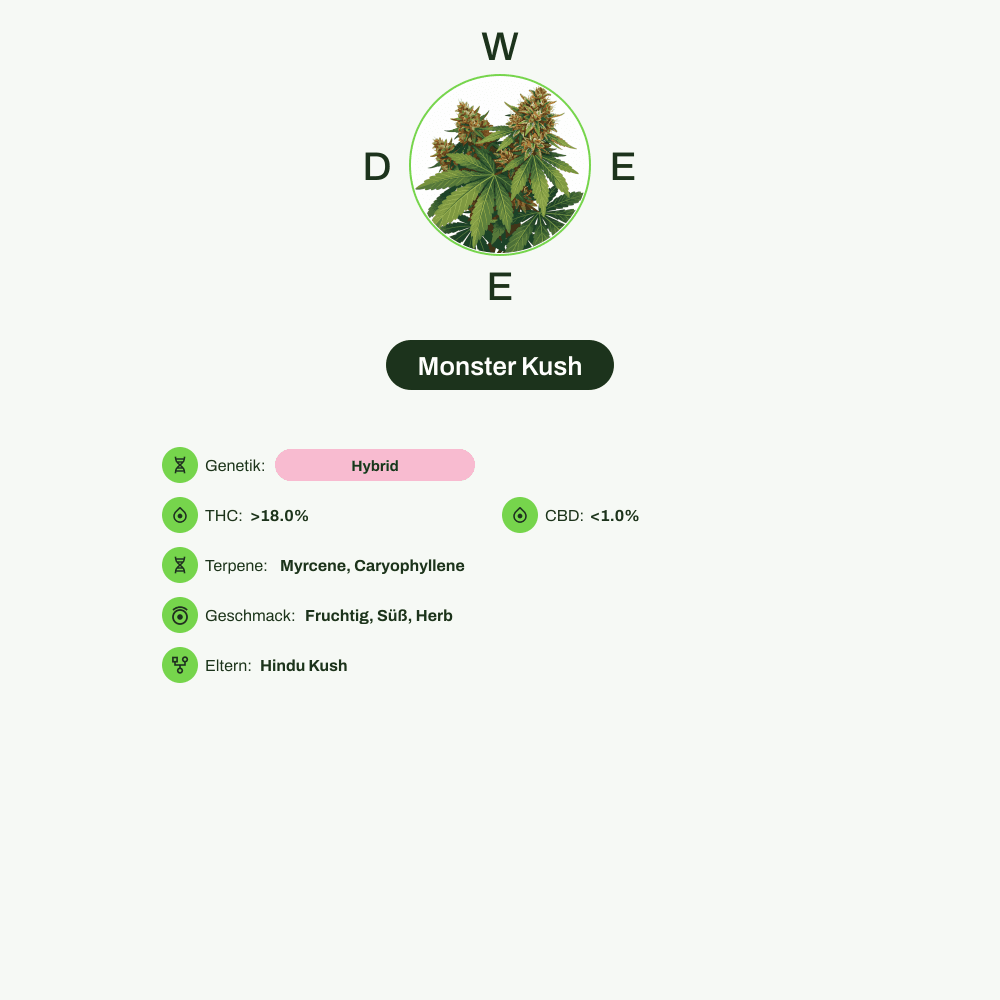 Infografik über THC-Gehalt, CBD-Gehalt, Terpene, Wirkungen, Geschmack von Monster Kush