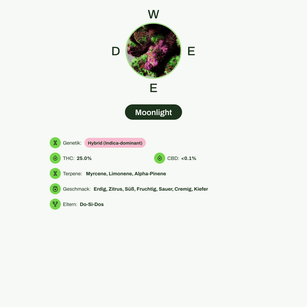 Infografik über THC-Gehalt, CBD-Gehalt, Terpene, Wirkungen, Geschmack von Moonlight